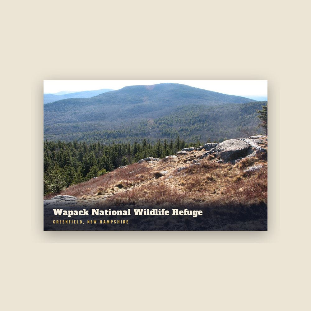 Greenfield Wapack National Wildlife Refuge Postcard