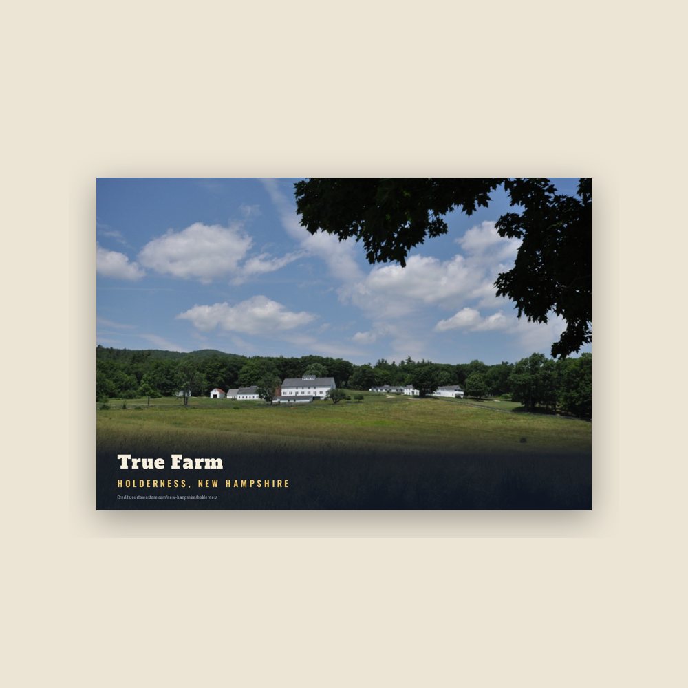Holderness True Farm Postcard