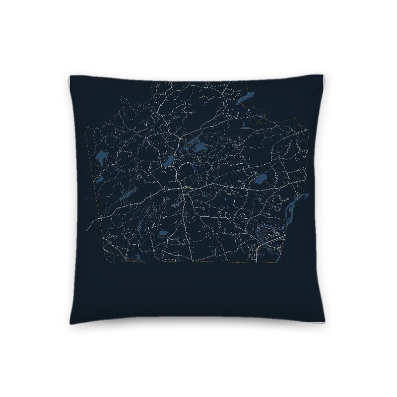 Hollis Map Throw Pillow