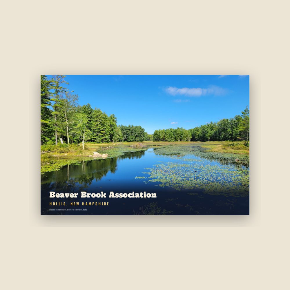 Hollis Beaver Brook Association Postcard