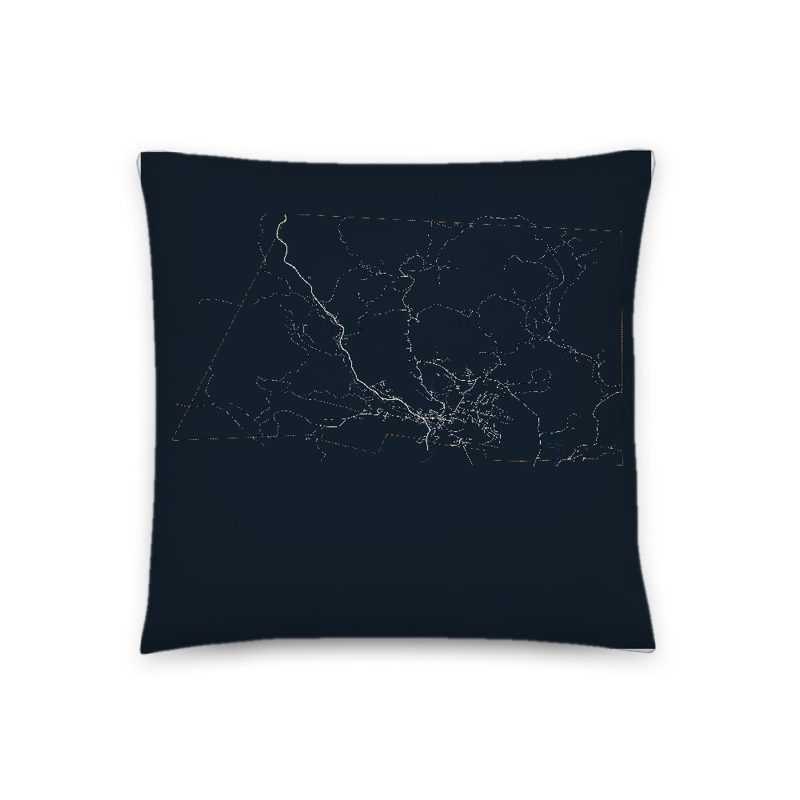 Jackson Map Throw Pillow