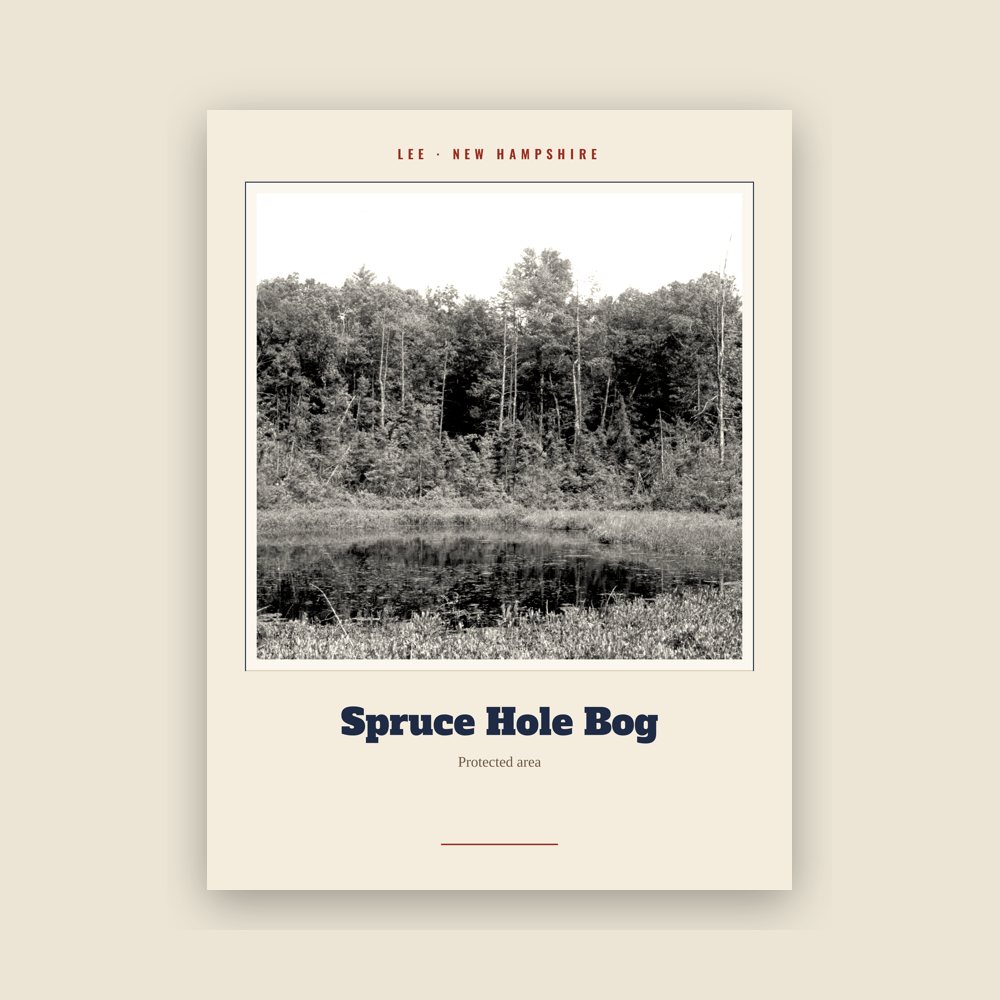 Lee Spruce Hole Bog Landmark Print
