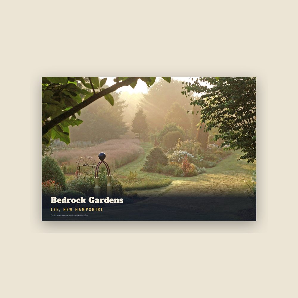 Lee Bedrock Gardens Postcard