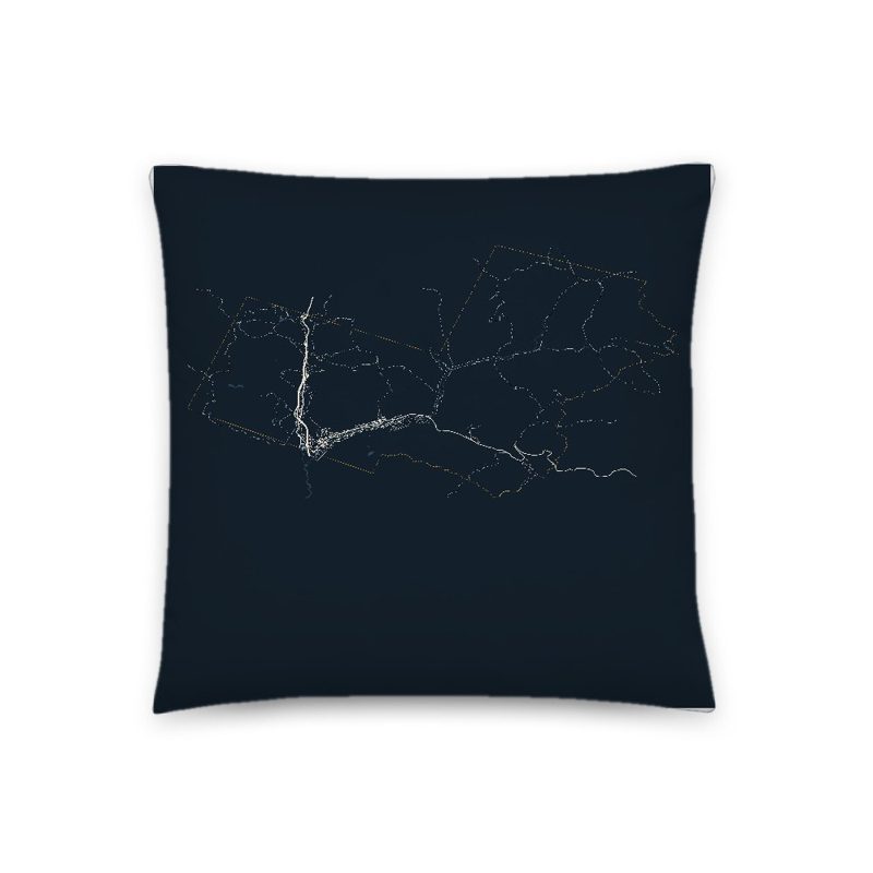 Lincoln Map Throw Pillow