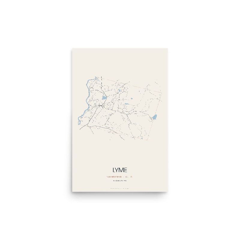Lyme Street Map Poster · Linen