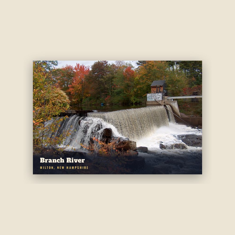 Milton Branch River Postcard