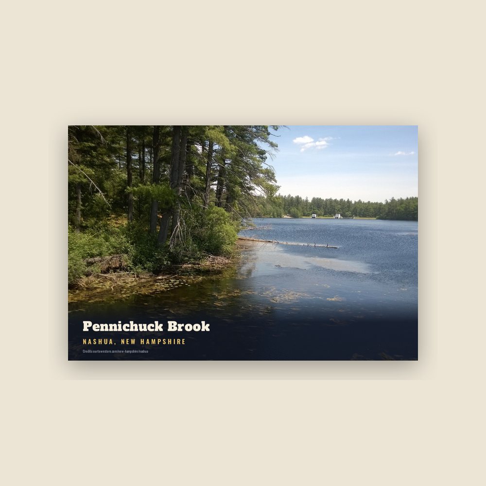 Nashua Pennichuck Brook Postcard