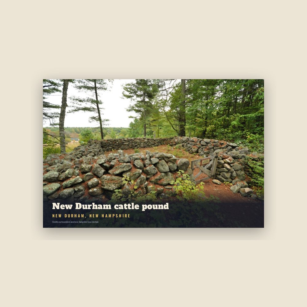 New Durham New Durham cattle pound Postcard