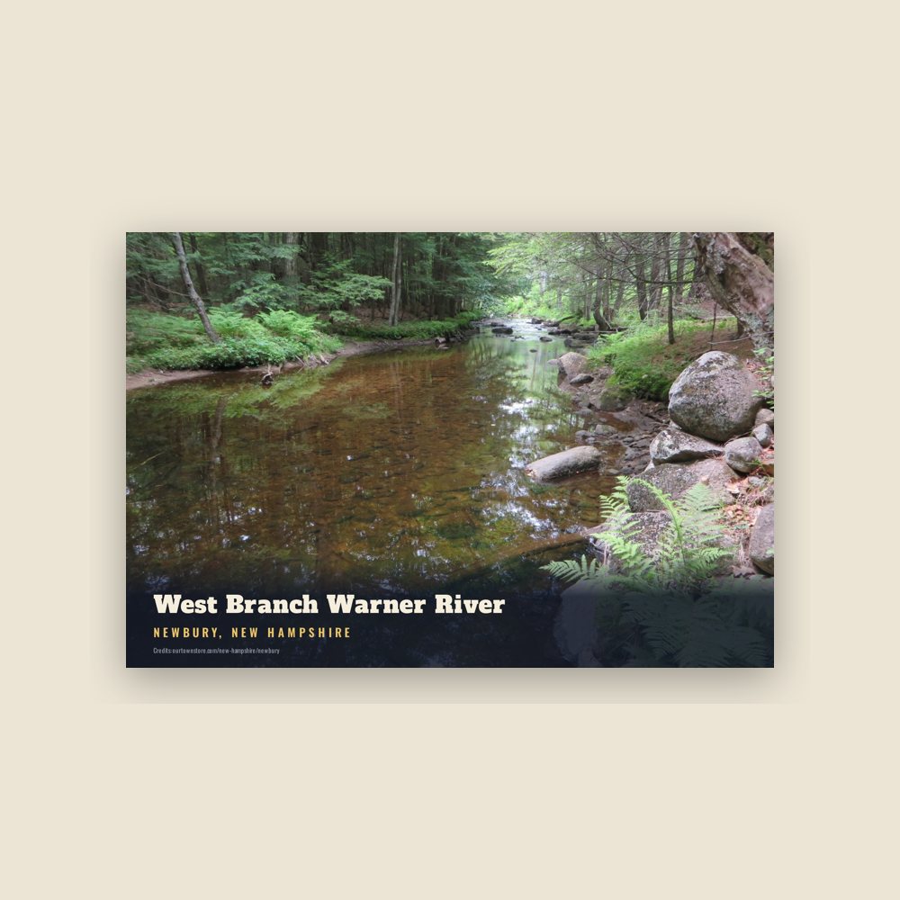 Newbury West Branch Warner River Postcard