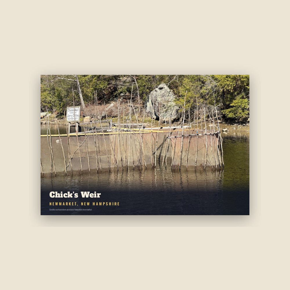 Newmarket Chick's Weir Postcard