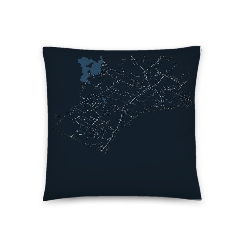 Newton Map Throw Pillow