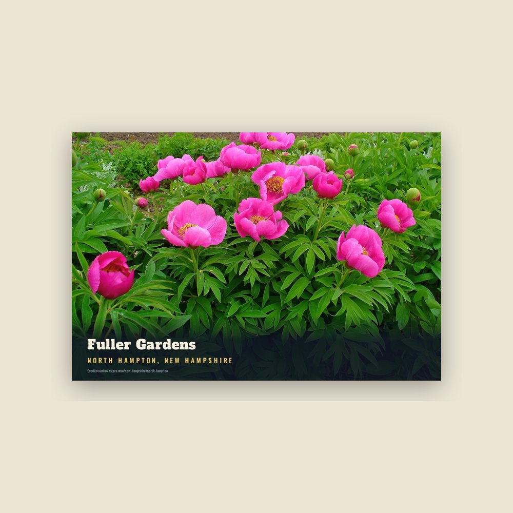 North Hampton Fuller Gardens Postcard