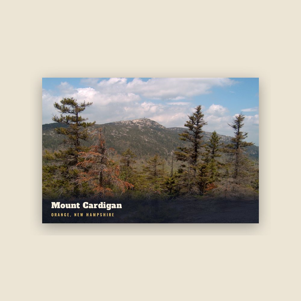Orange Mount Cardigan Postcard