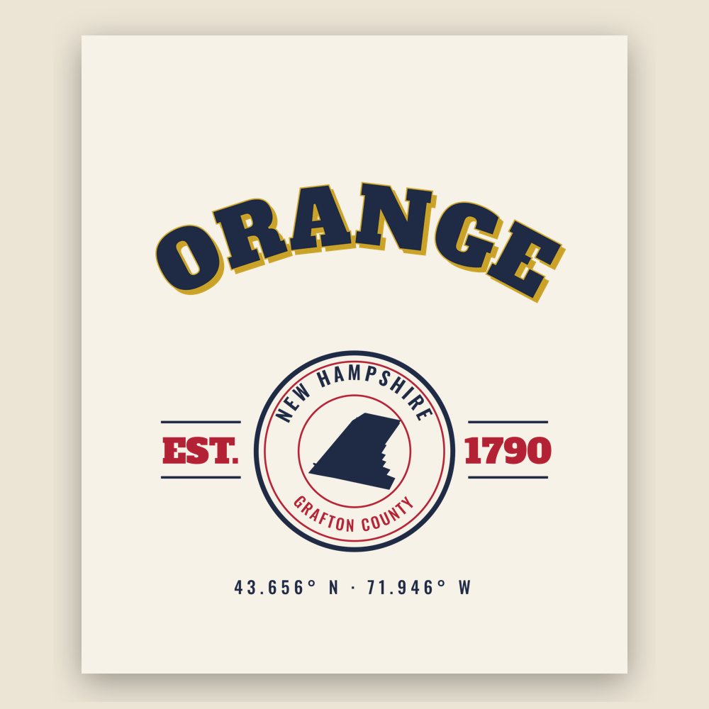 Orange Market Tote