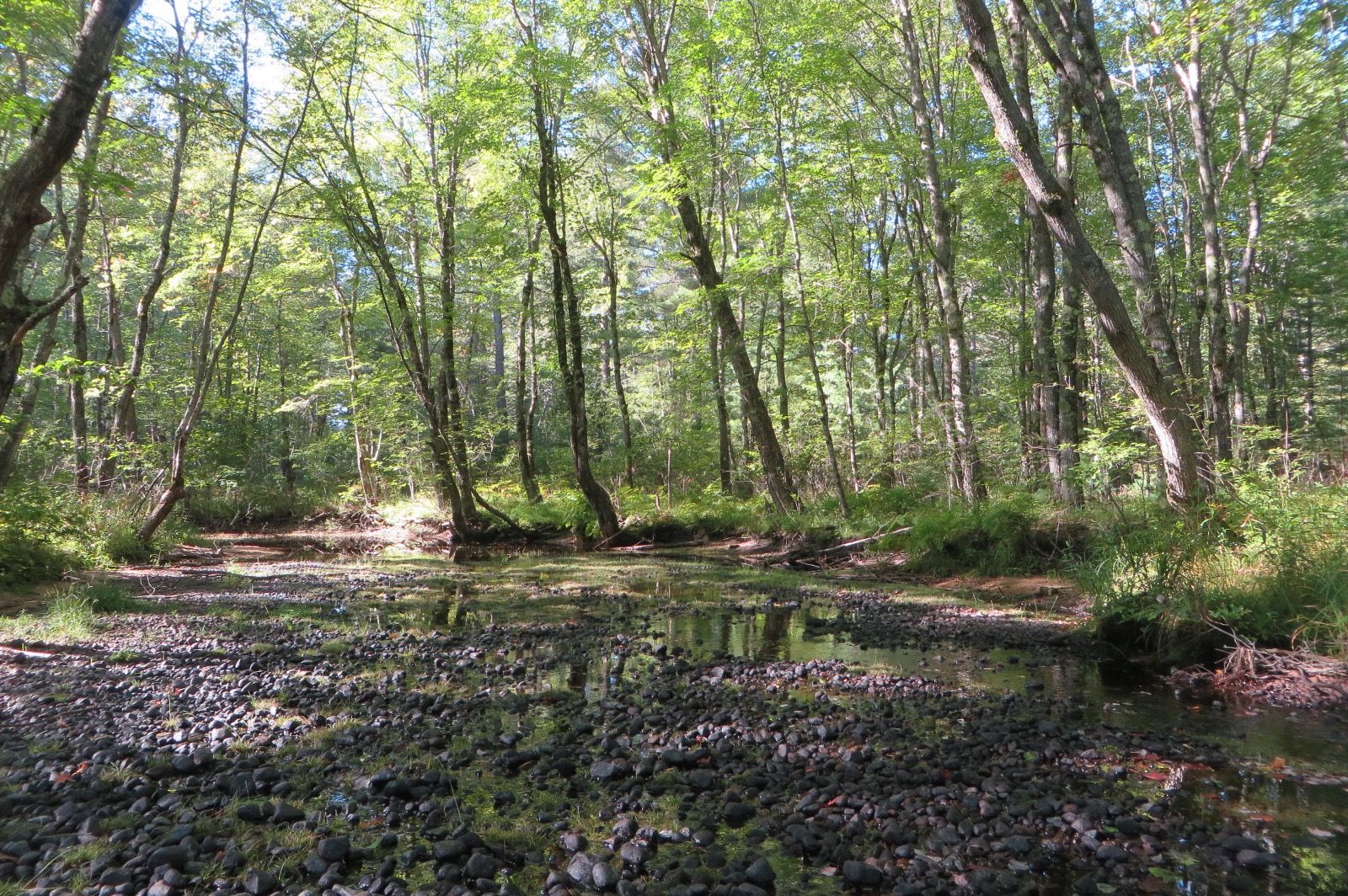 West Branch, Ossipee, New Hampshire
