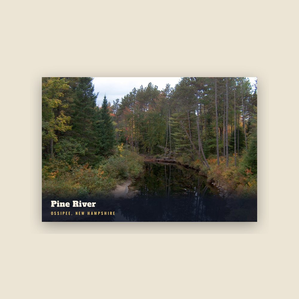 Ossipee Pine River Postcard