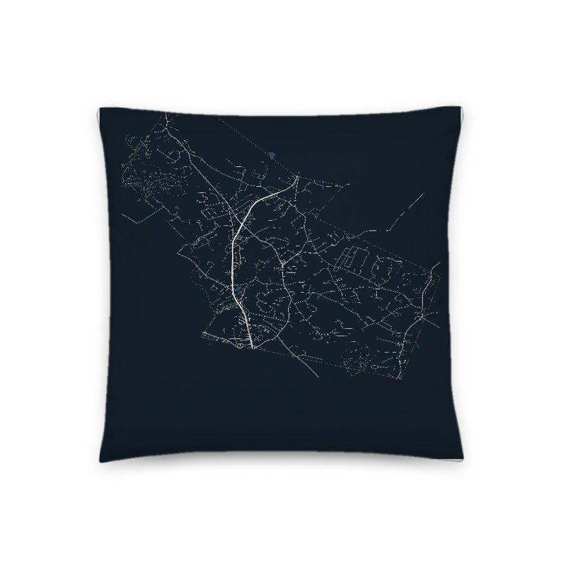 Plaistow Map Throw Pillow