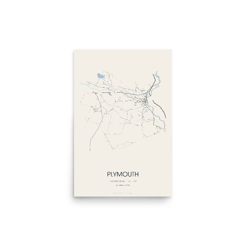 Plymouth Street Map Poster · Linen