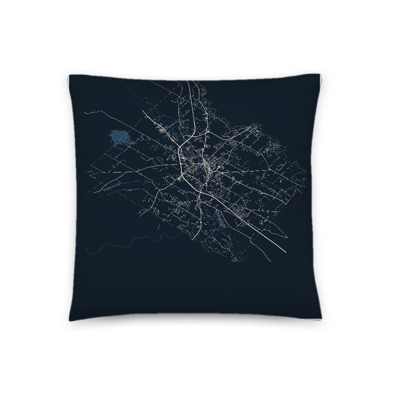 Rochester Map Throw Pillow