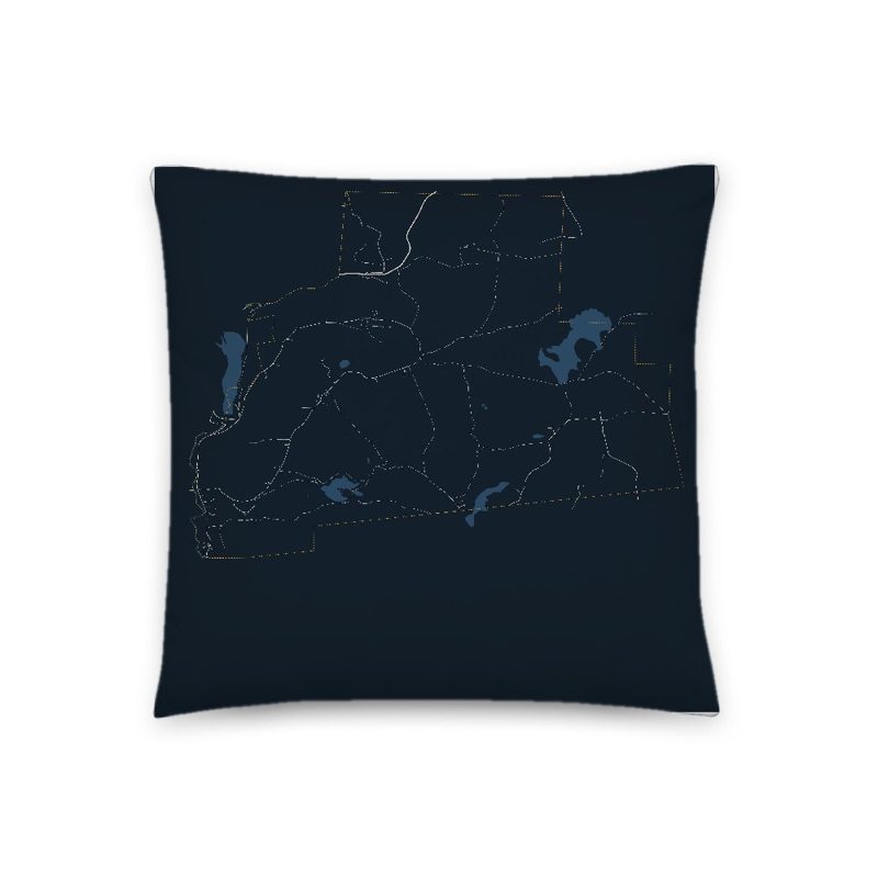 Roxbury Map Throw Pillow