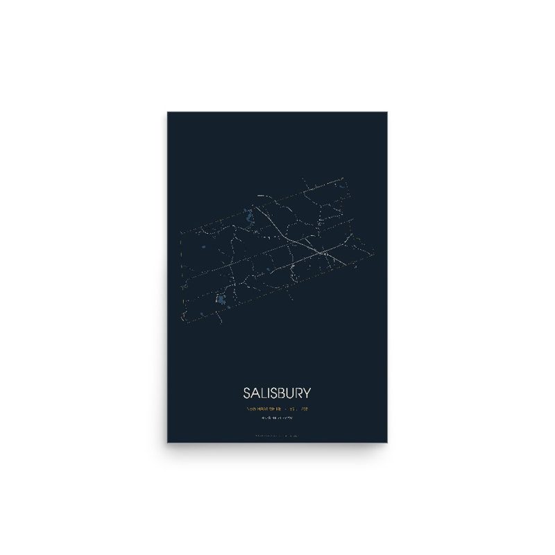 Salisbury Street Map Poster · Midnight