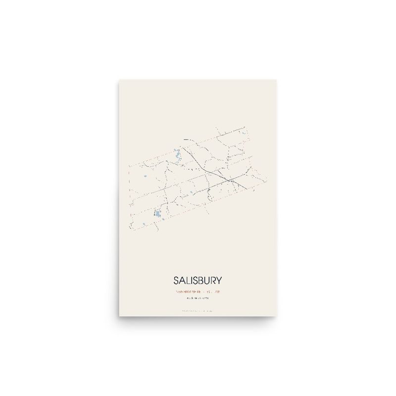Salisbury Street Map Poster · Linen
