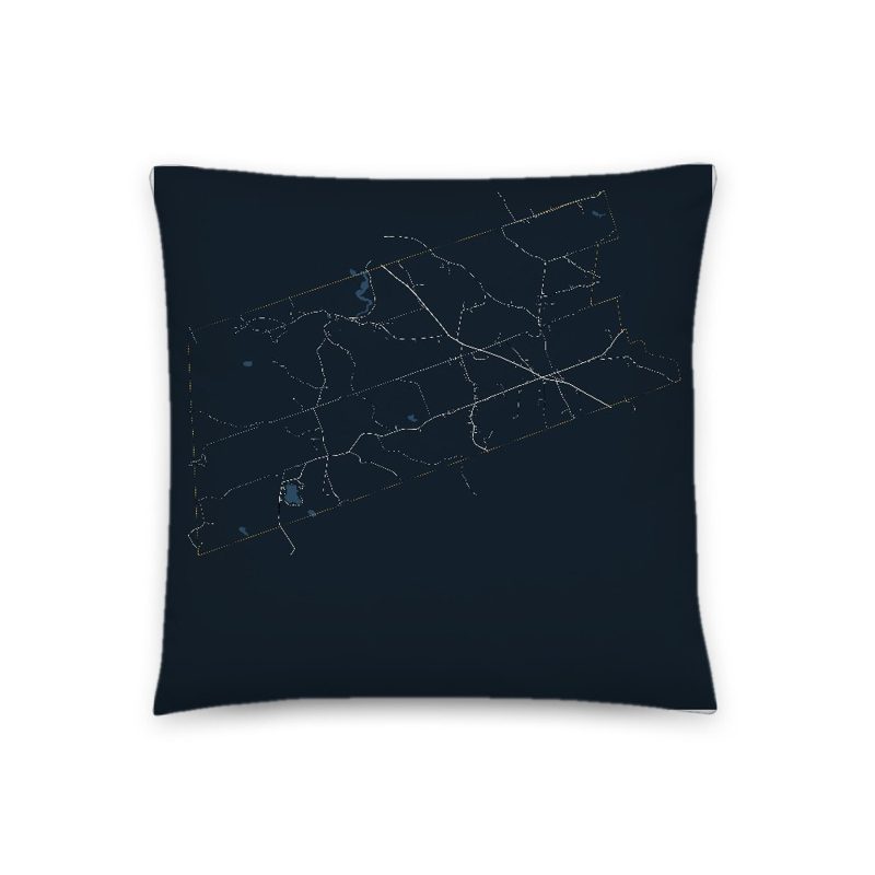 Salisbury Map Throw Pillow