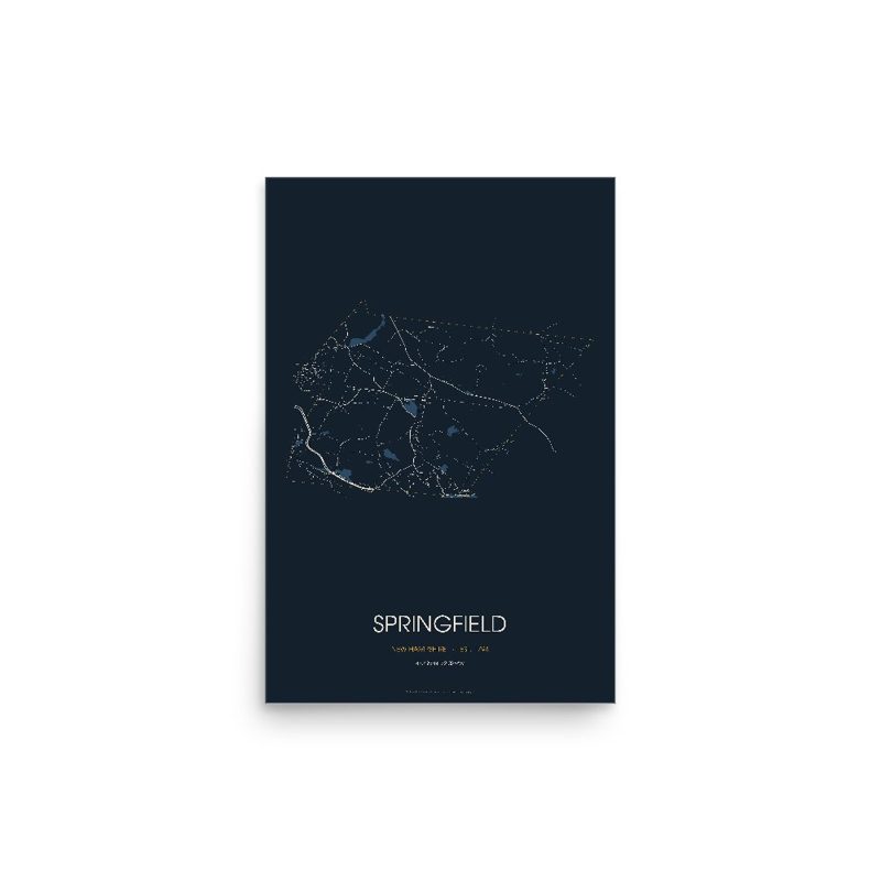 Springfield Street Map Poster · Midnight