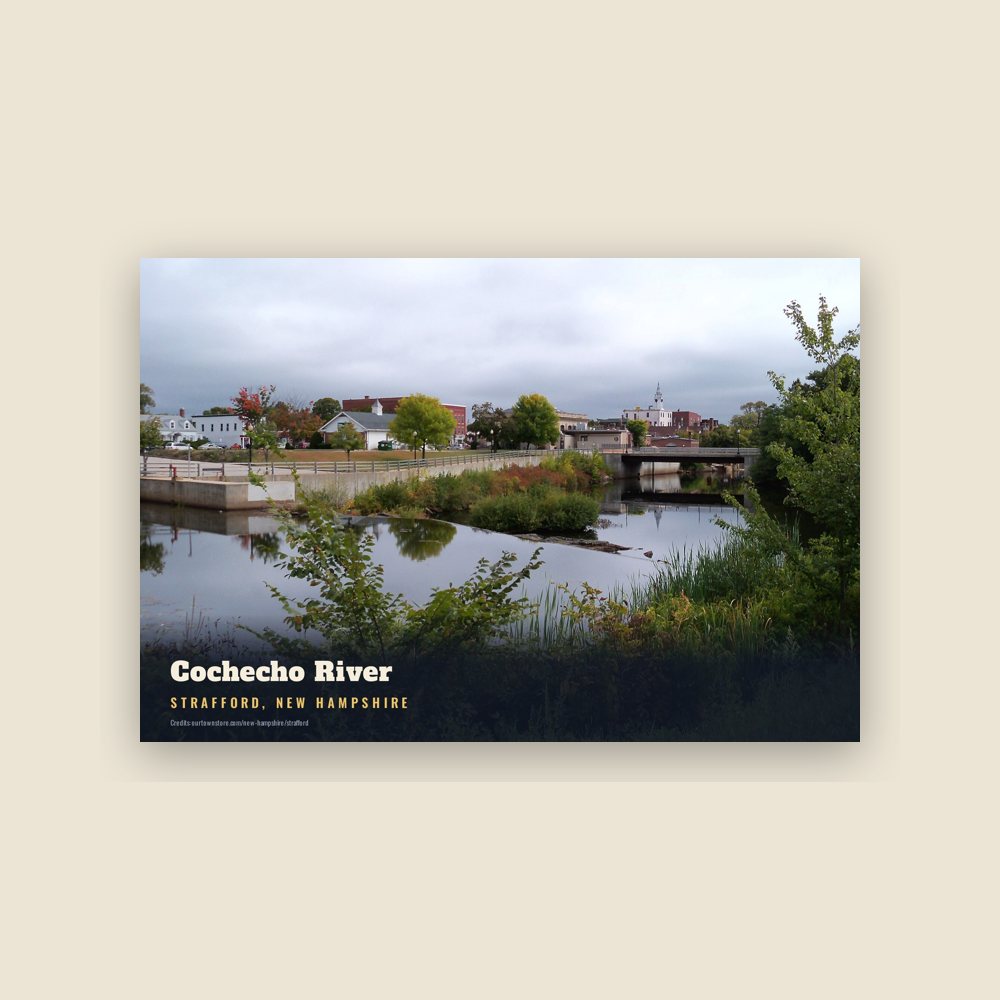 Strafford Cochecho River Postcard