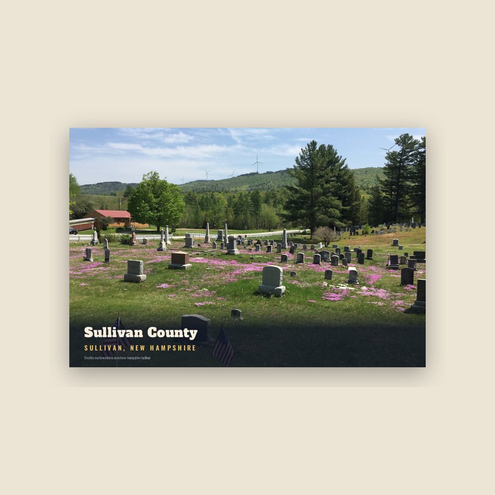 Sullivan Sullivan County Postcard