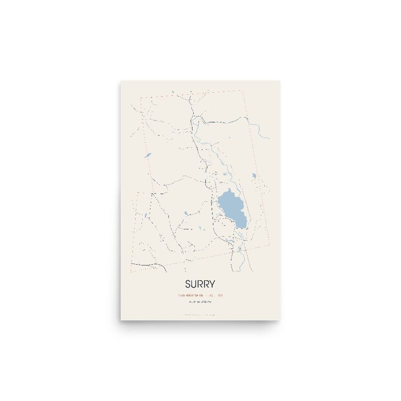 Surry Street Map Poster · Linen
