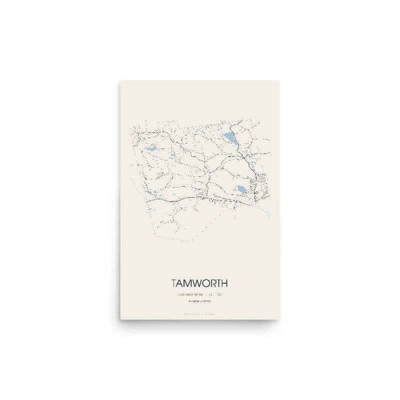 Tamworth Street Map Poster · Linen