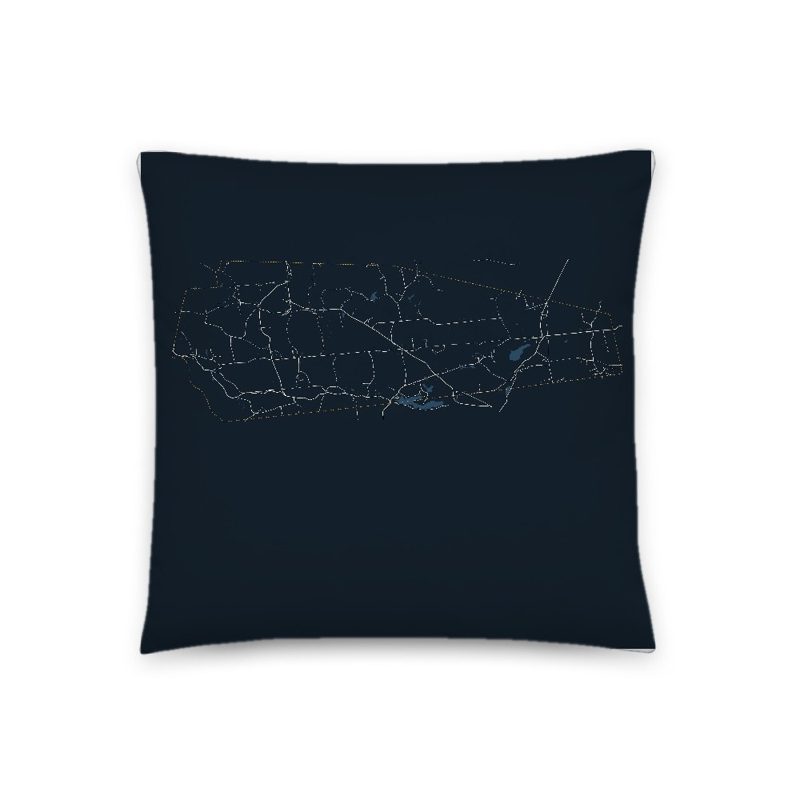 Unity Map Throw Pillow