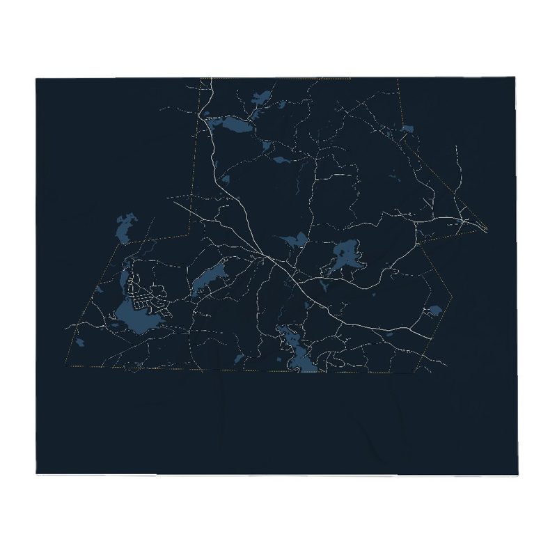 Washington Street Map Throw Blanket