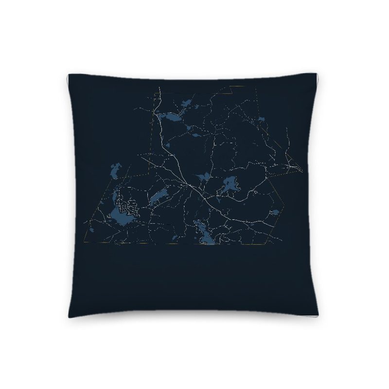 Washington Map Throw Pillow