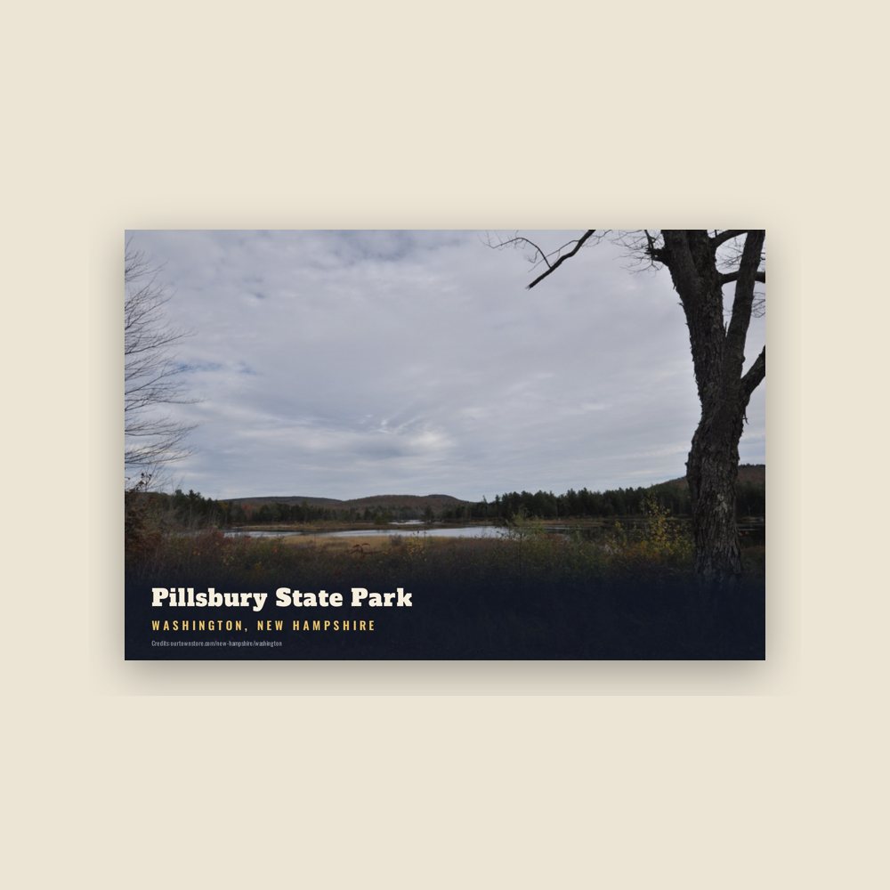 Washington Pillsbury State Park Postcard