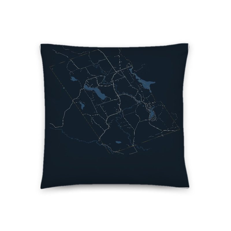Webster Map Throw Pillow