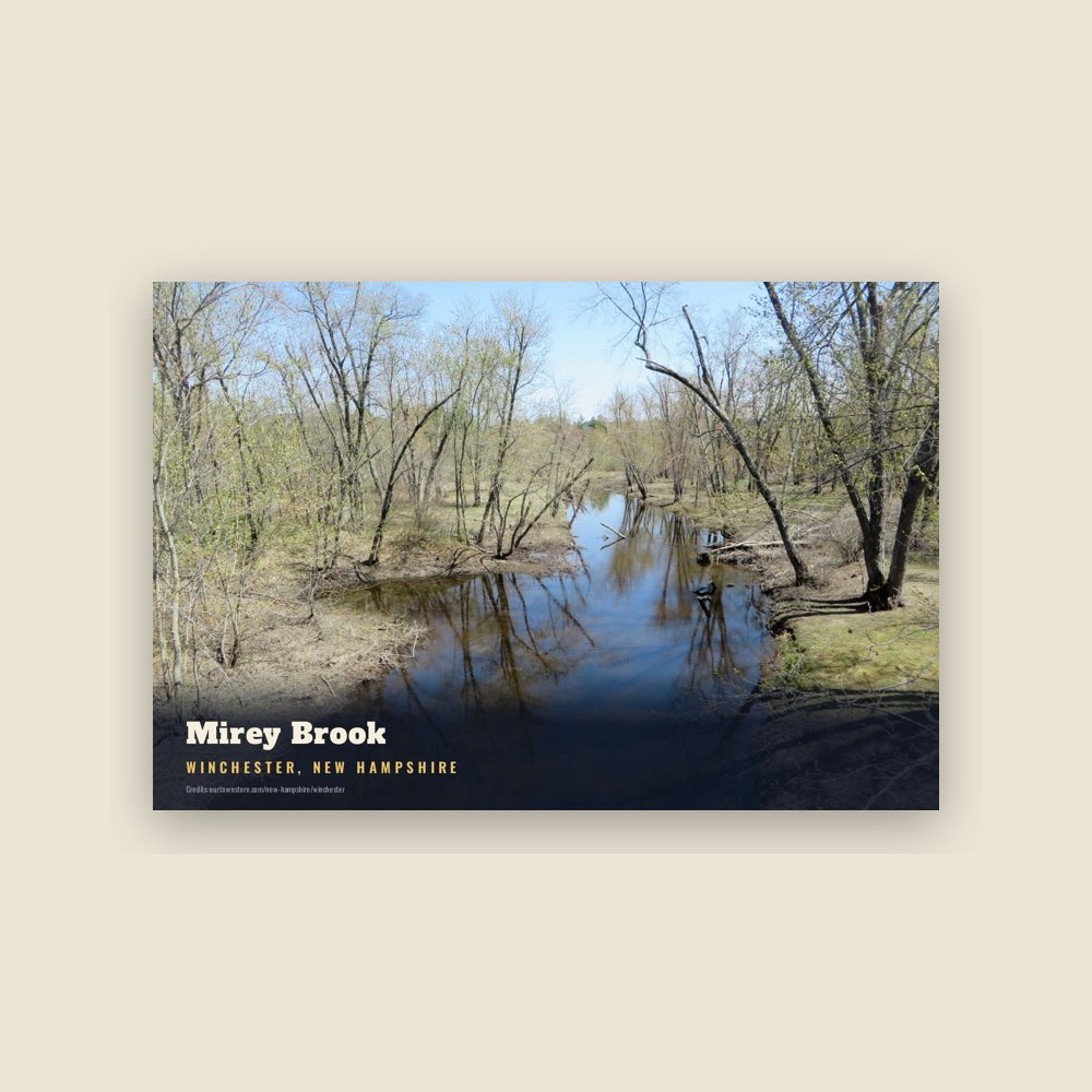 Winchester Mirey Brook Postcard