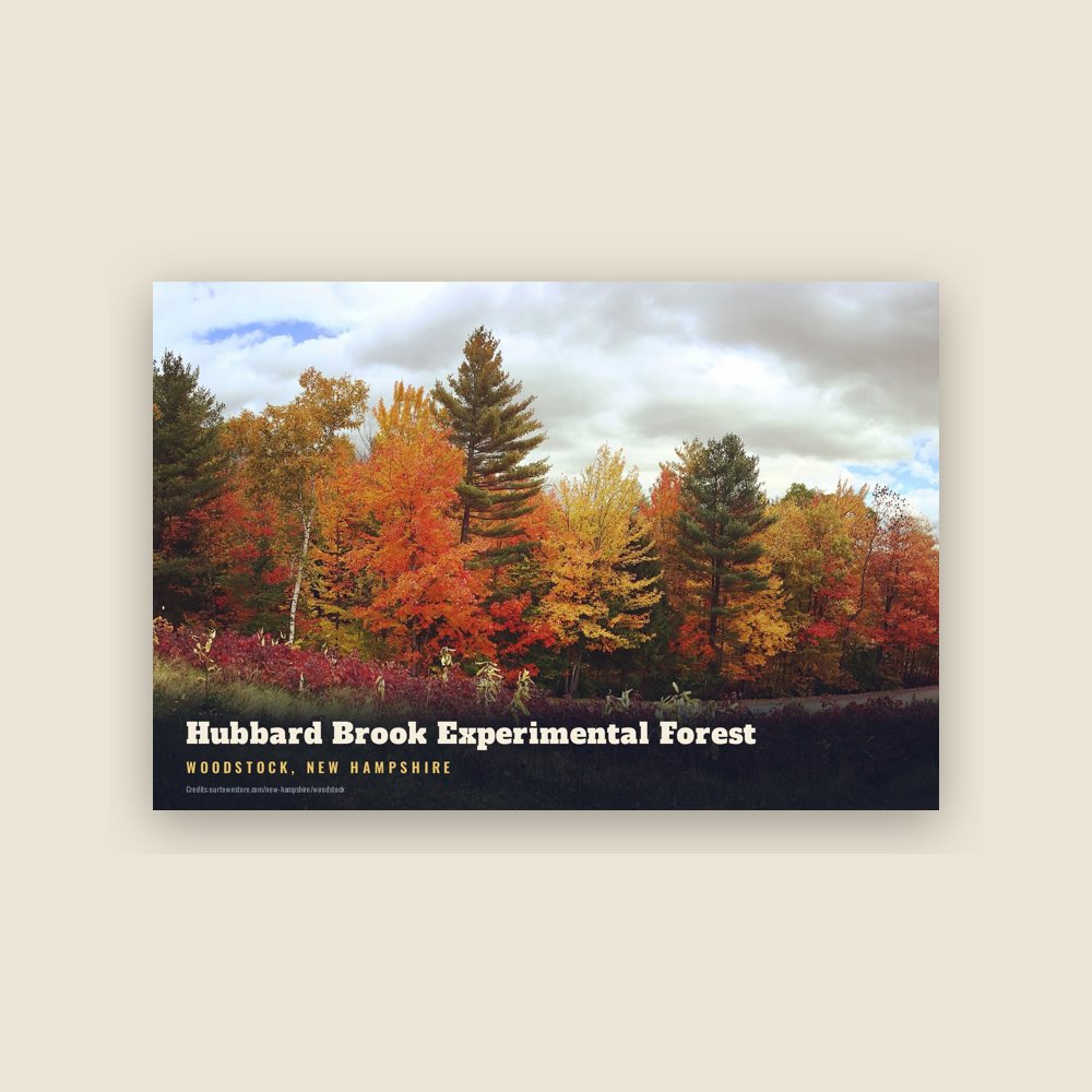 Woodstock Hubbard Brook Experimental Forest Postcard