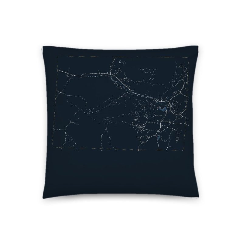Arlington Map Throw Pillow