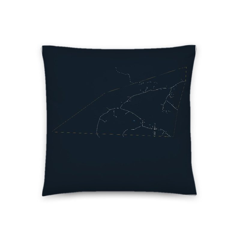 Baltimore Map Throw Pillow