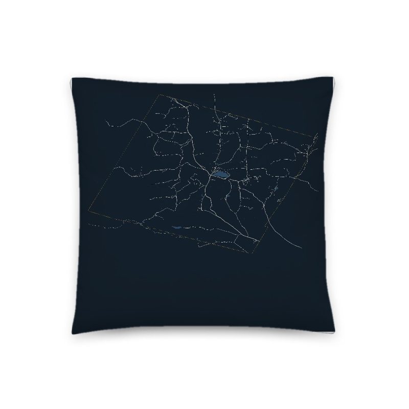 Barnard Map Throw Pillow