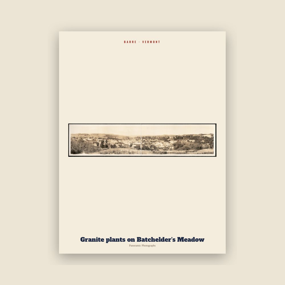 Barre Granite plants on Batchelder's Meadow Archive Print