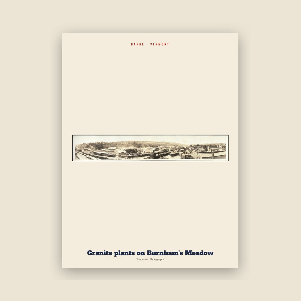 Barre Granite plants on Burnham's Meadow Archive Print