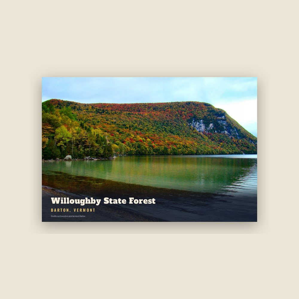 Barton Willoughby State Forest Postcard
