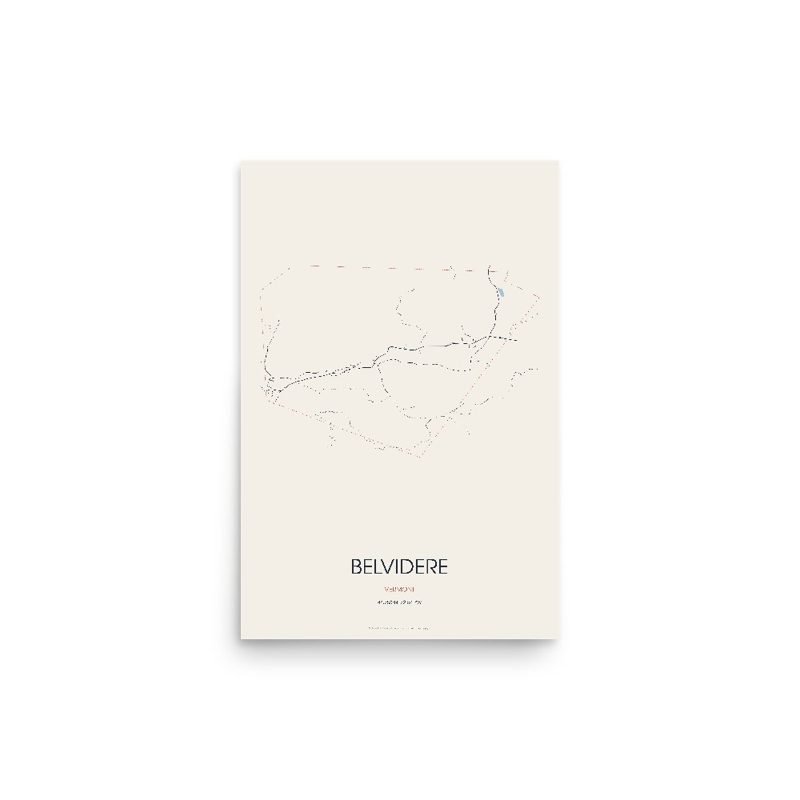 Belvidere Street Map Poster · Linen