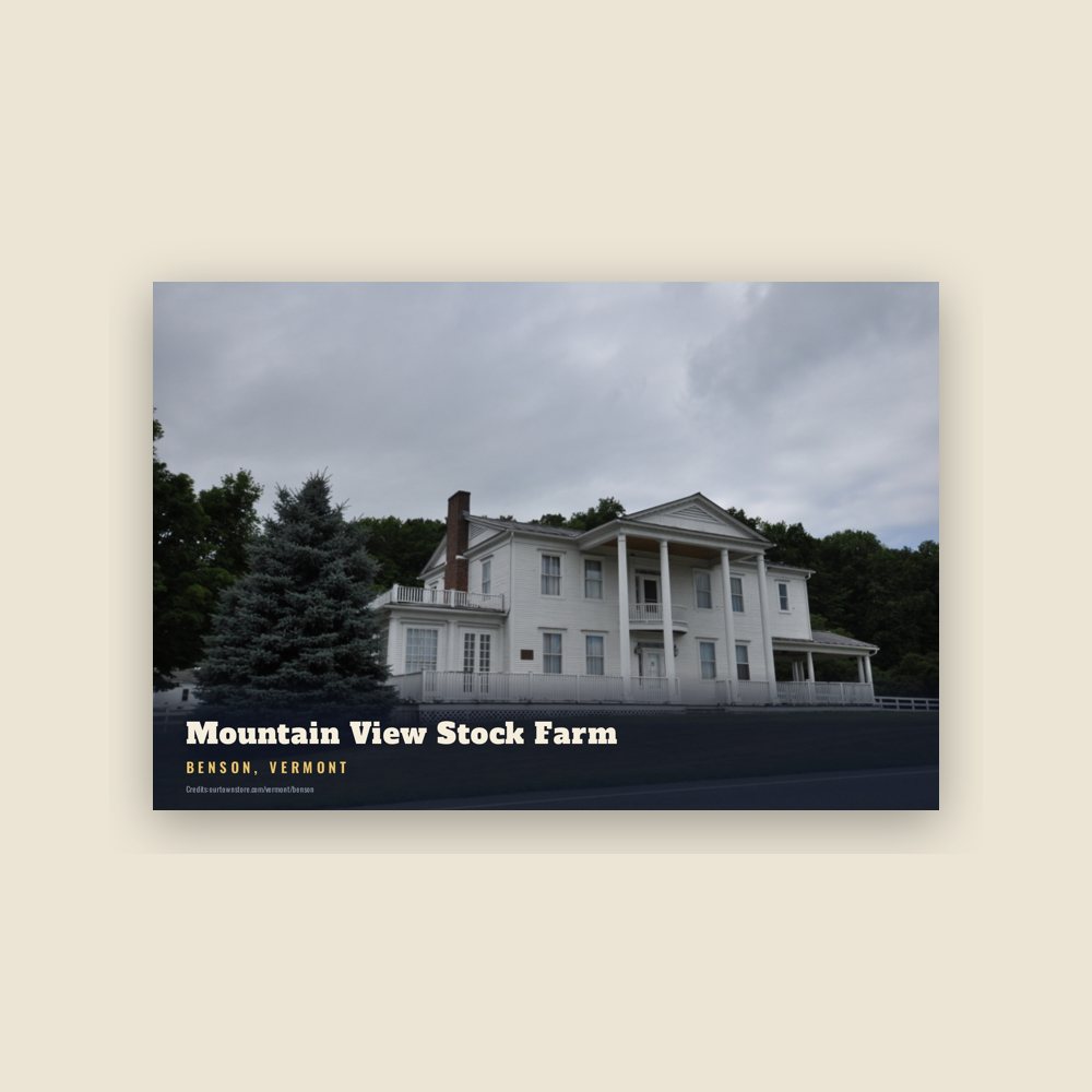 Benson Mountain View Stock Farm Postcard