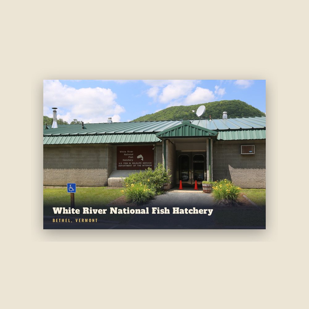 Bethel White River National Fish Hatchery Postcard