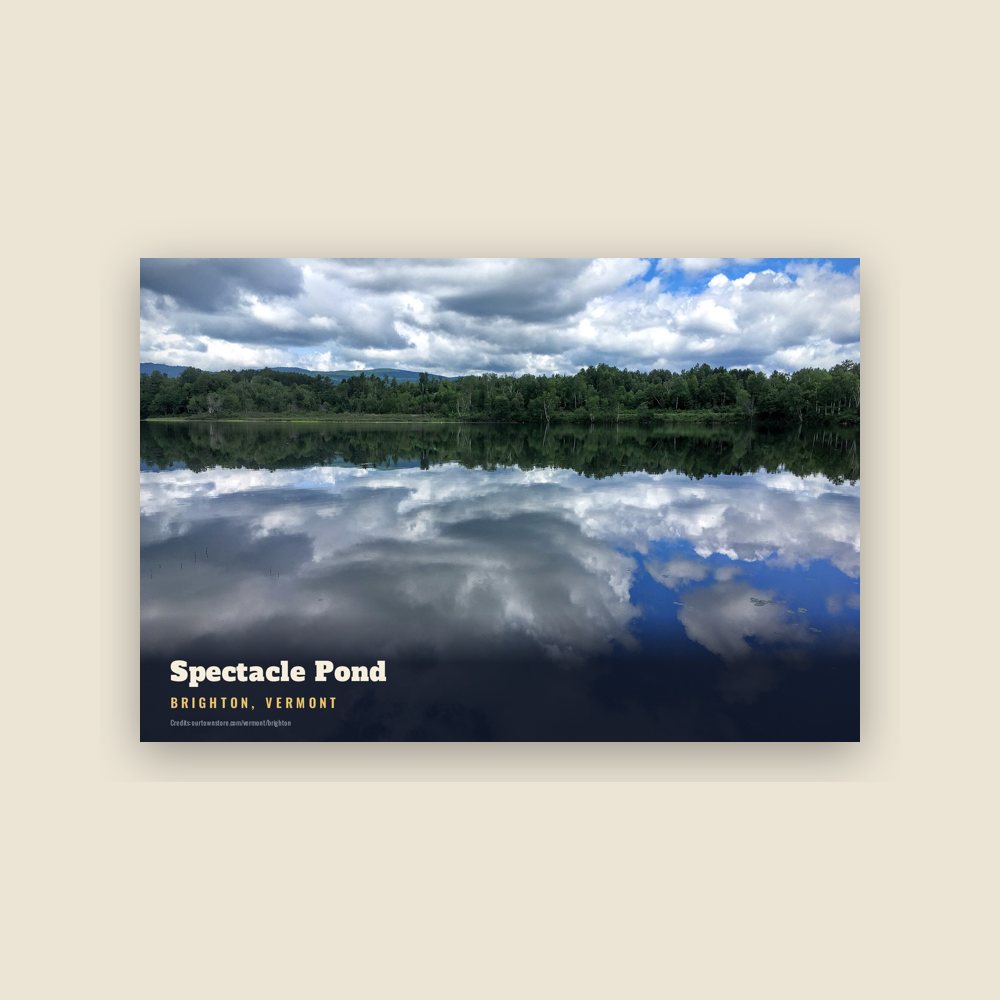 Brighton Spectacle Pond Postcard