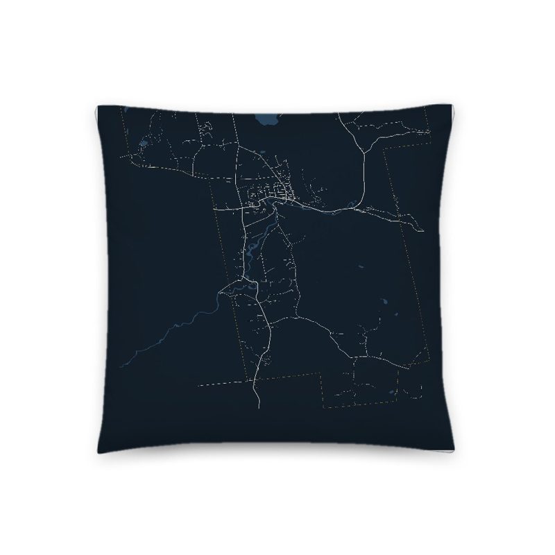 Bristol Map Throw Pillow